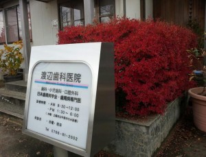 ドウダンツツジ